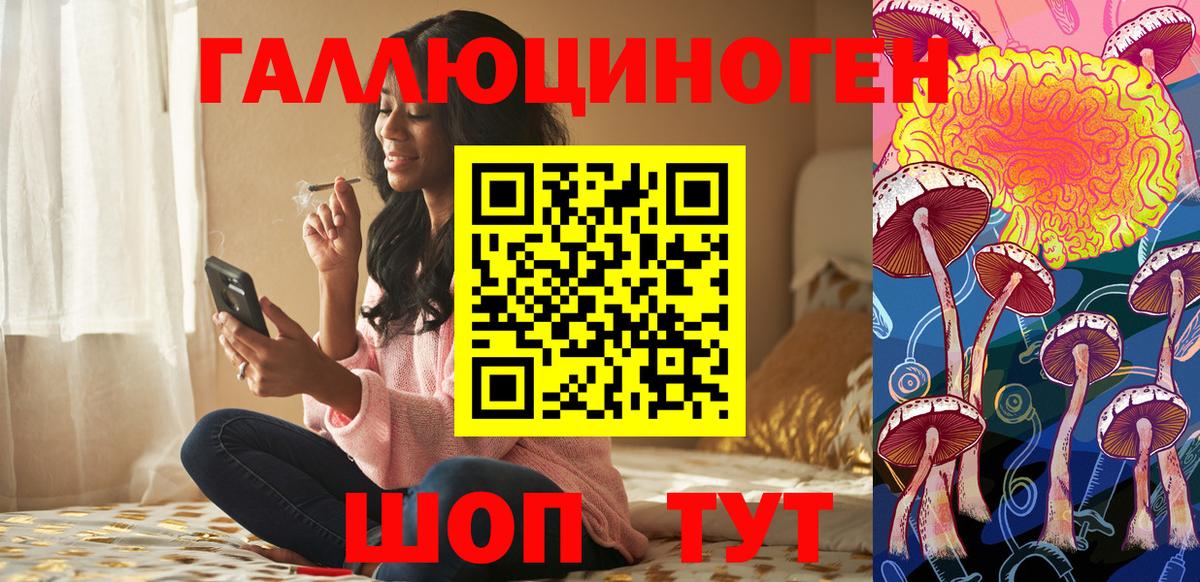 Подольск  Галлюциногенные грибы Cubensis  Вход с VPN 