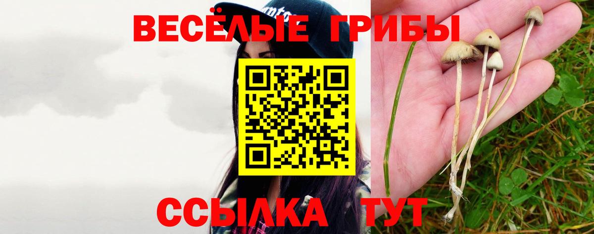 Галлюциногенные грибы мухоморы Подольск